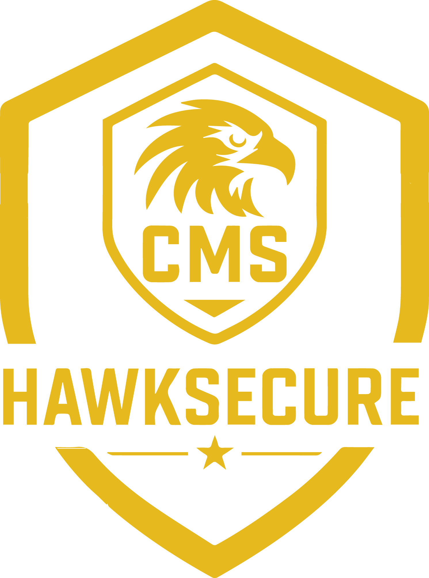 HawkSecure